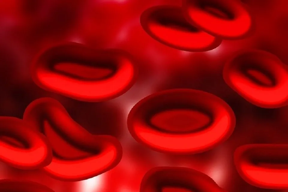 血液と赤血球