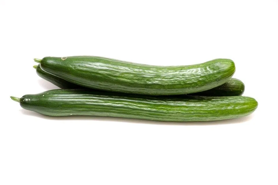 cucumber