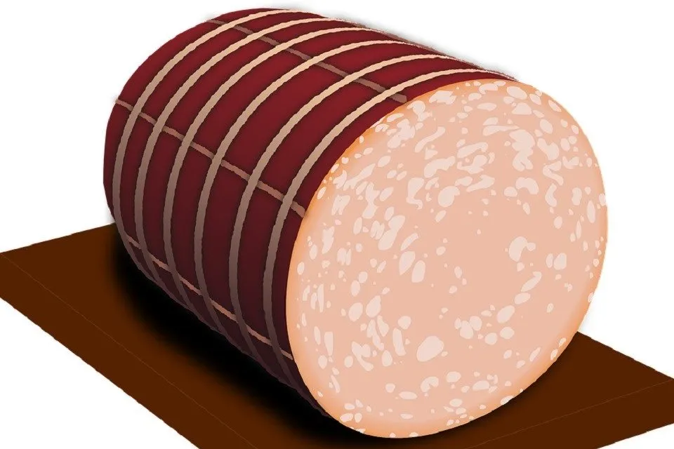 Bologna sausage