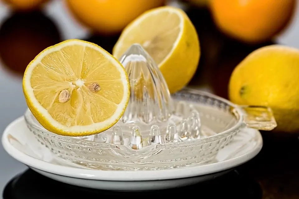 レモンには レモン6個分のビタミンc が含まれている 雑学